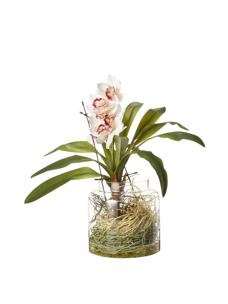 Faux cymbidium orchid plant Collagerie