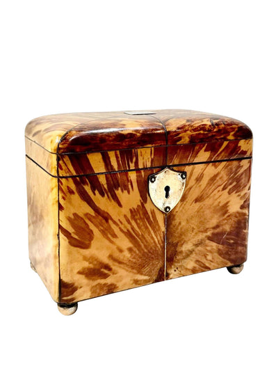 1stDibs English Tortoiseshell Box at Collagerie