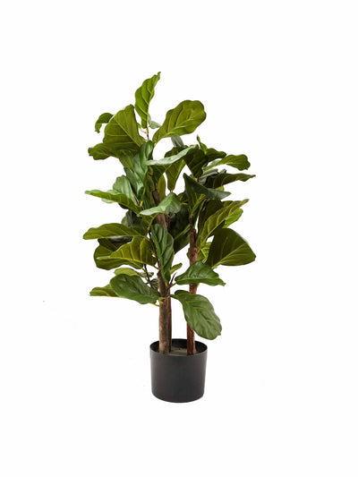 Oliver Bonas Fiddle tree fig tree artificial plant at Collagerie