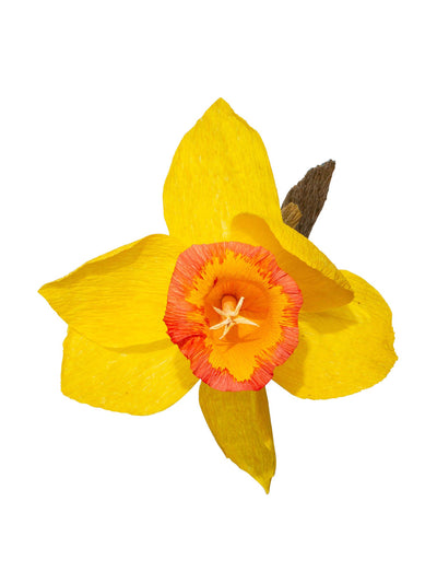 Dar Leone Daffodil Paper Flower at Collagerie