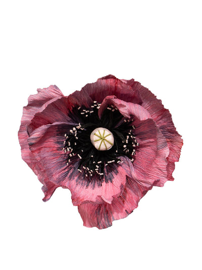 Dar Leone Poppy paper flower at Collagerie