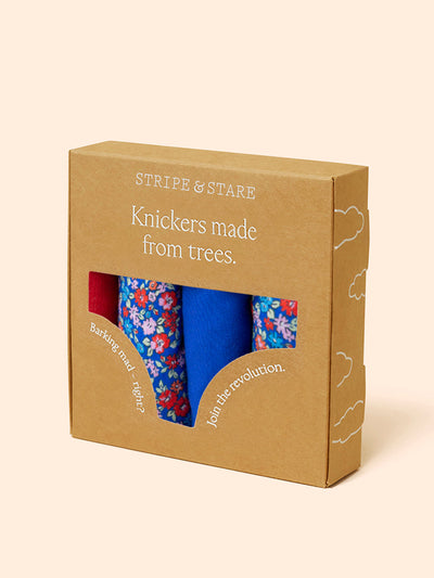 Stripe & Stare Floral meadow the original knicker four pack at Collagerie