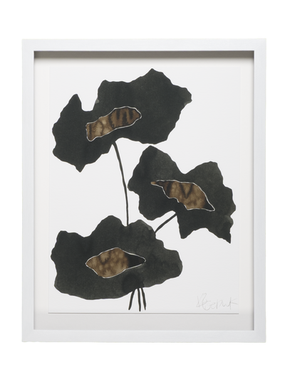 Collagerie Limited Edition 