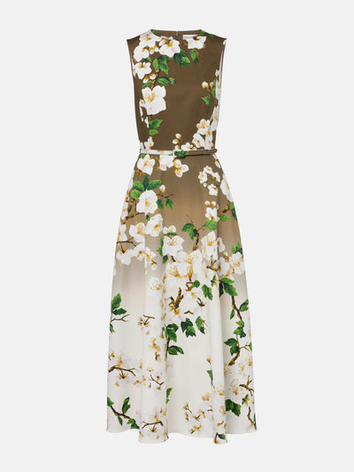 Oscar De La Renta Floral ombré cotton-blend cocktail dress at Collagerie
