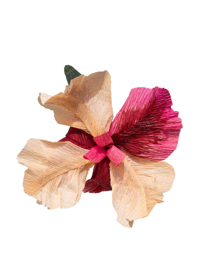 Dar Leone Iris Paper Flower at Collagerie