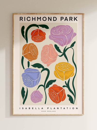 Rose England London Richmond Park fine art print at Collagerie