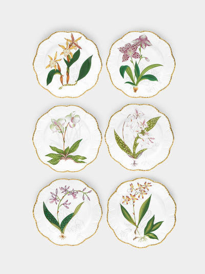 Pinto Histoires d'Orchidées hand-painted dessert plates (set of 6) at Collagerie