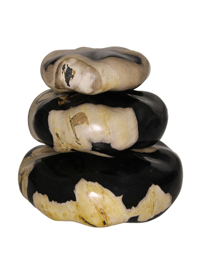 Andrew Martin Petrified wood stone set at Collagerie