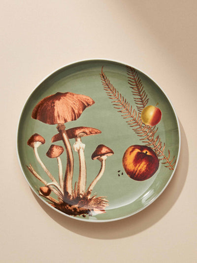 Anthropologie Nature study dessert plate at Collagerie