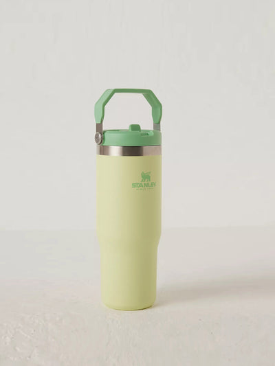 Stanley Double insulated flip straw water bottle at Collagerie