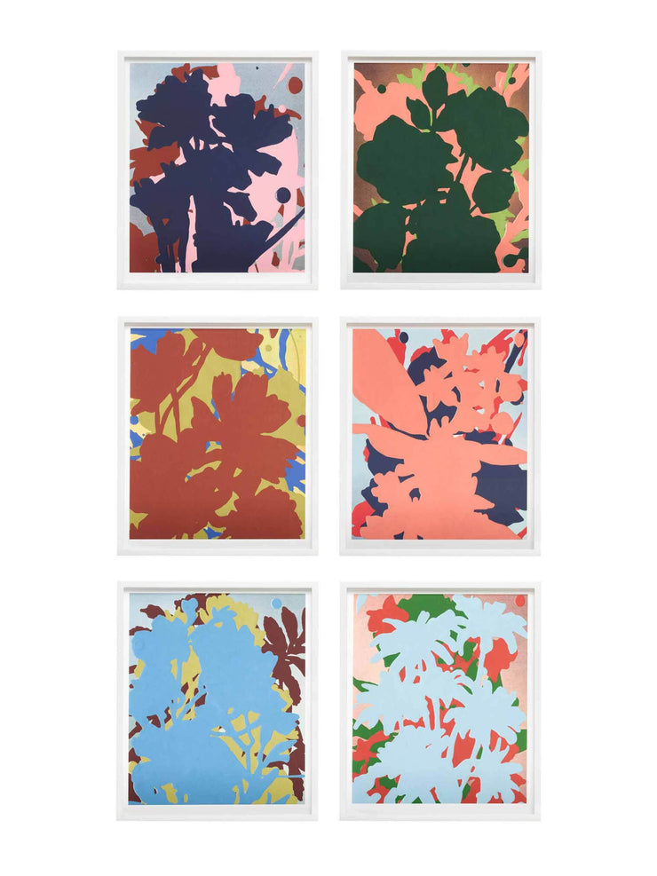 Kavel Rafferty, set of 6  Collagerie Limited Edition    - Collagerie
