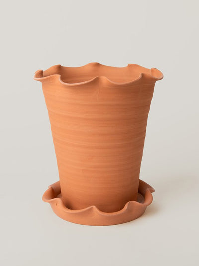Arte House Large frilled-rim terracotta pot with saucer at Collagerie