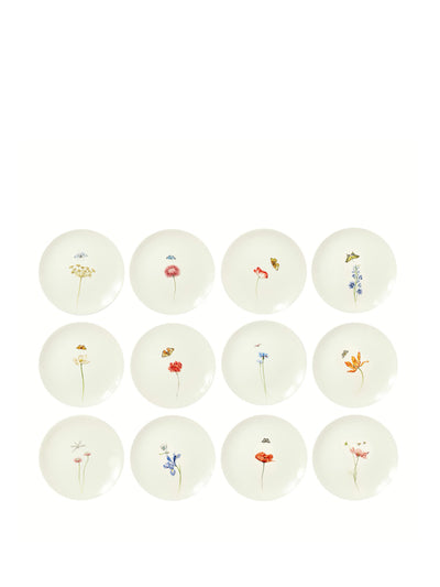 Laboratorio Paravicini Bloom ceramic dessert plates (set of 12) at Collagerie