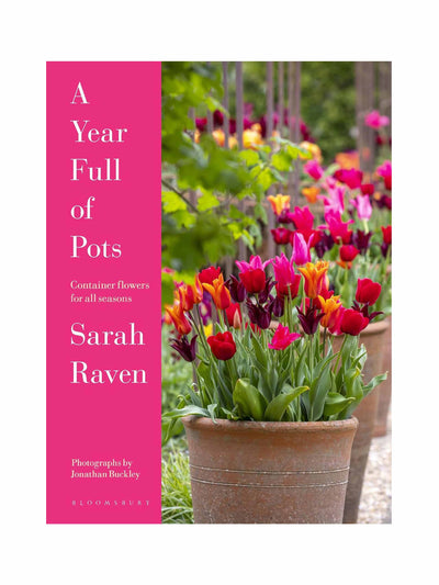 A Year Full of Pots: Container Flowers for All Seasons Sarah Raven at Collagerie