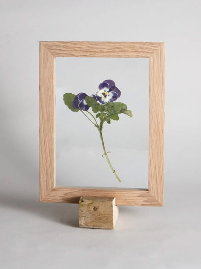 By hope Viola – pressed flower frame at Collagerie