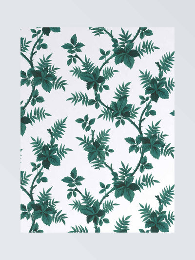 John Lewis X Collagerie Botanical vine wallpaper at Collagerie