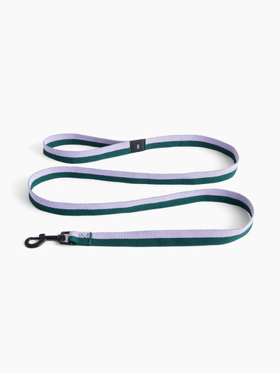 Hay Flat leash at Collagerie