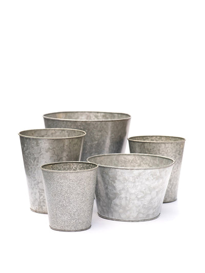 Crocus Single galvanised pot at Collagerie