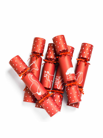 Daylesford Christmas crackers with hugo guinness design at Collagerie