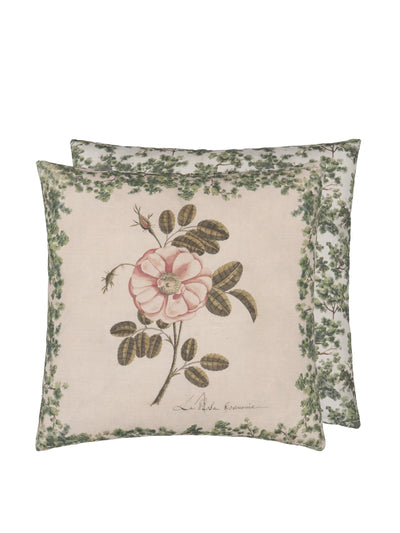 John Derian La rose rose cushion at Collagerie