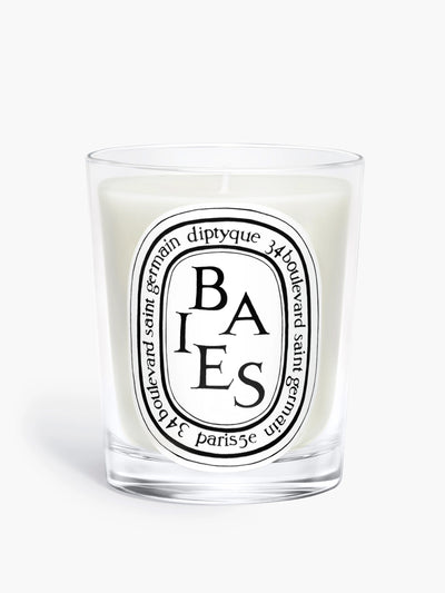 Diptyque Baies Classic Candle at Collagerie
