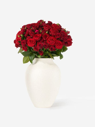 Flowerbx The Rose Super Bouquet at Collagerie