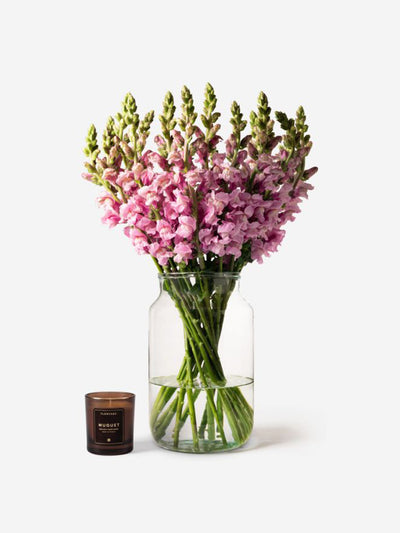 Flowerbx Lavender pink snapdragon bouquet at Collagerie