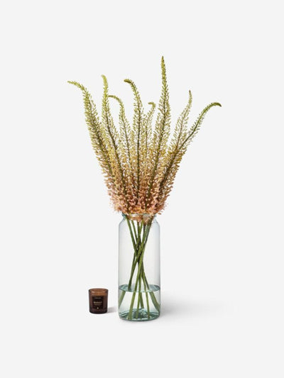Flowerbx Sunset Foxtail Lily star-shaped flowers at Collagerie
