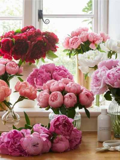 Flowerbx The Seasonal Subscription - Peonies at Collagerie