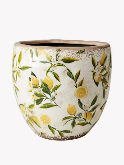 Garden Trading Large Lemona planter soneware at Collagerie