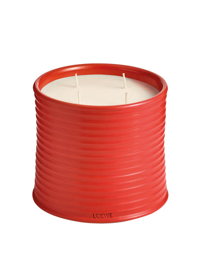 Loewe Tomato Leaves Large candle at Collagerie