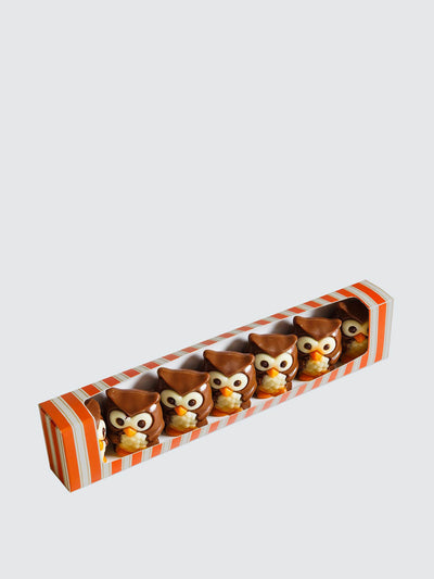 Natalie Chocolate Owls at Collagerie