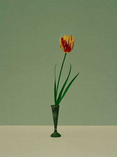Kate Friend Sue Stuart-Smith, Tulipa 'Helmar' print at Collagerie