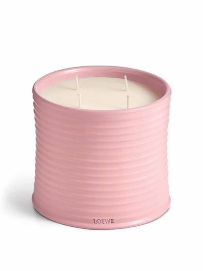 Loewe Large Ivy candle at Collagerie