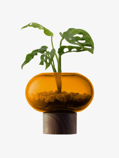 Lsa International Oblate vase at Collagerie