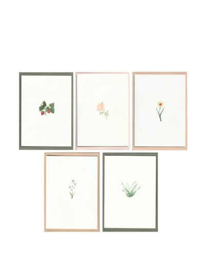 Memo Press Flower cards (set of 5) at Collagerie