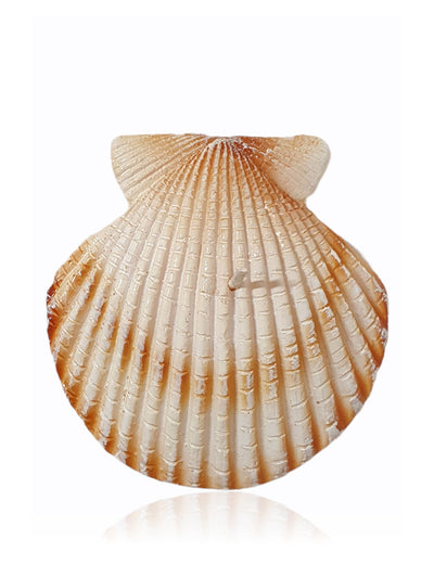 Moda Domus Riviera scallop shell candle at Collagerie
