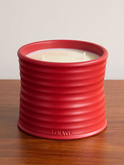Loewe Perfumes Tomato leaves medium scented candle at Collagerie