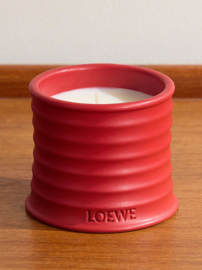 Loewe Perfumes Tomato Leaves Small Scented Candle at Collagerie