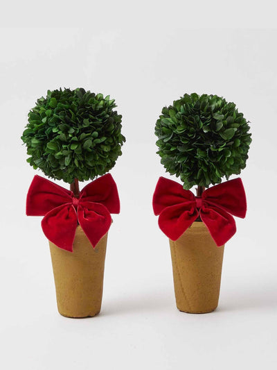 Mrs. Alice Red ribboned potted boxwood balls (set of 2) at Collagerie