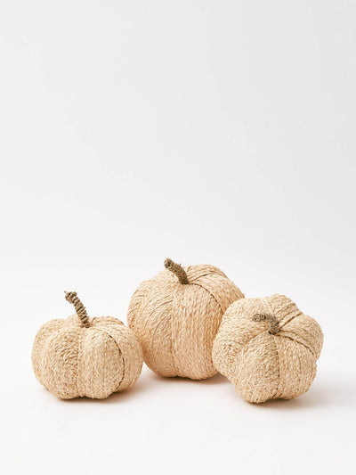 Mrs. Alice Raffia pumpkin family at Collagerie