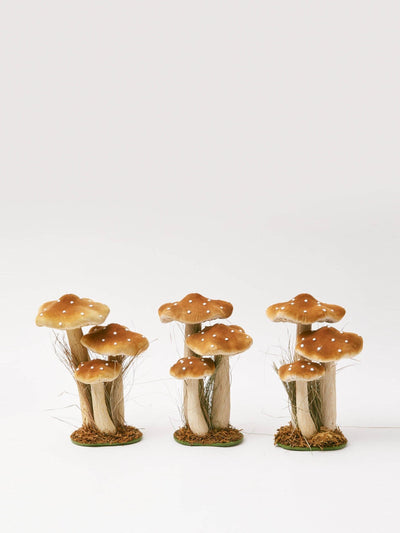 Mrs. Alice Tall caramel velvet mushrooms (set of 3) at Collagerie