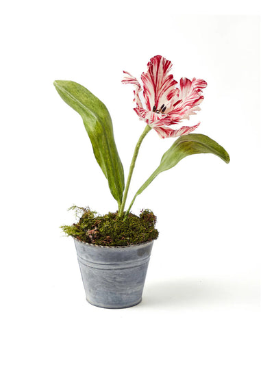 Mrs. Alice Handpainted red tulip at Collagerie