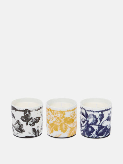 Gucci Herbarium candles (set of 3) at Collagerie