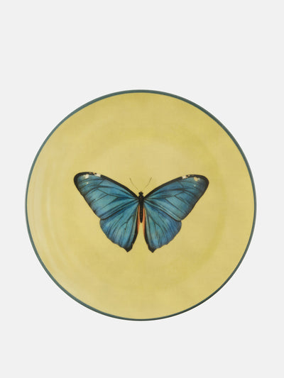 Les Ottomans Insetti Butterfly plate at Collagerie