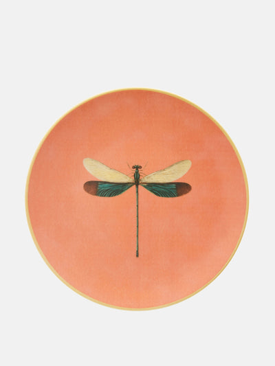 Les Ottomans Insetti Dragonfly porcelain plate at Collagerie
