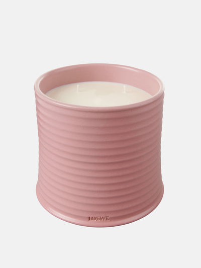 Loewe Home Scents Ivy Large scented candle at Collagerie
