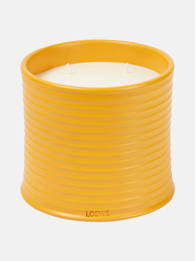 Loewe Home Scents Wasabi Large scented candle at Collagerie