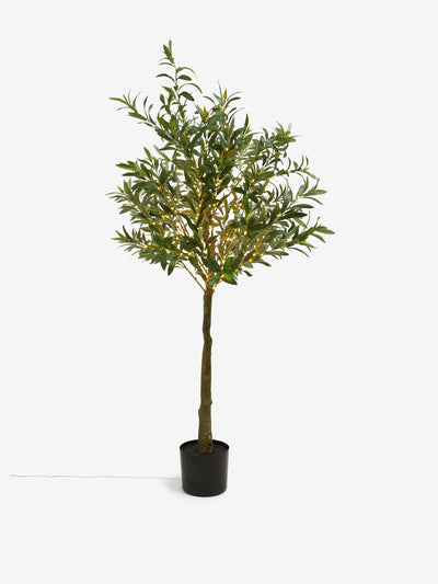 Next Green light-up artificial olive tree at Collagerie