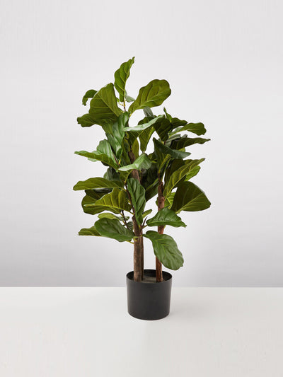 Oliver Bonas Fiddle tree fig tree artificial plant at Collagerie